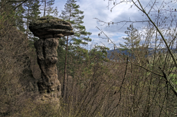 SLOVENSKO 095 Markušovský skalný hríb IMG_2002